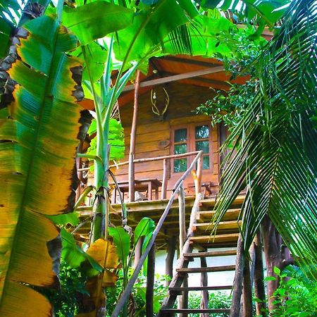Kolon Resort Sigirîya Extérieur photo